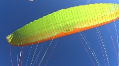Eden 7 lime