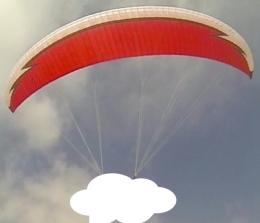 im Flug