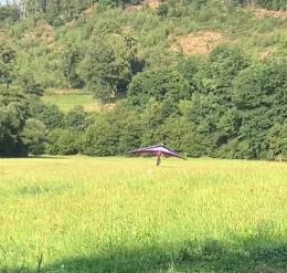 Impuls 14 im Landeanflug
