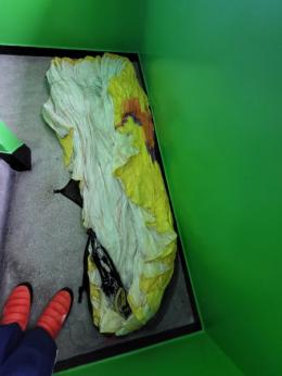 Alpina 4 MS gelb im Zellpacksack