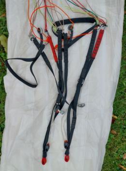 Tragegurte + Leinen