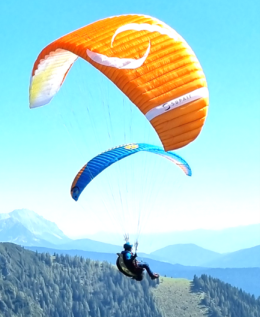 Im Flug