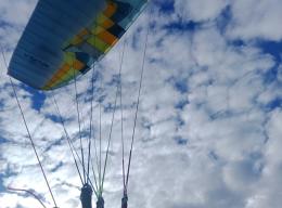Im Flug