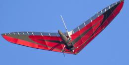 ICARO ALTO M