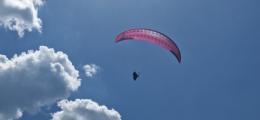 Tau DLS 25 Sonderfarbe