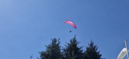 Tau DLS 25 Sonderfarbe