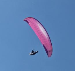 Tau DLS 25 Sonderfarbe