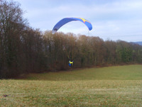 grummer acker1