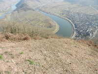 Calmont