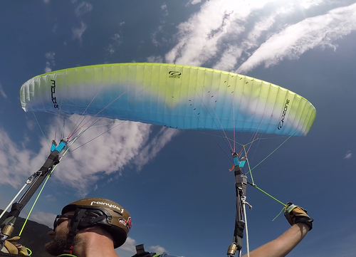 OZONE Mojo 5 M