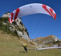 PHI Tenor 25 light