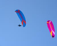 ZOOM XB LT 95