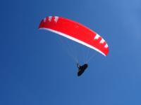 PHI MAESTRO 3 light 17