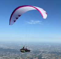 PHI MAESTRO 3 light 22