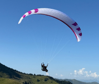 PHI MAESTRO 3 light 25